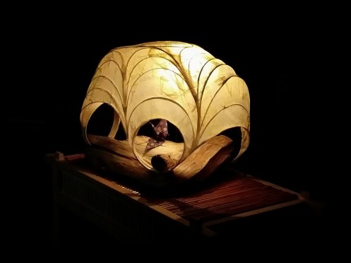 IMG_20181008_170811_555